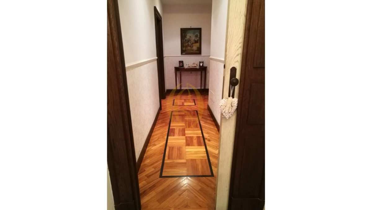 Diapositiva11